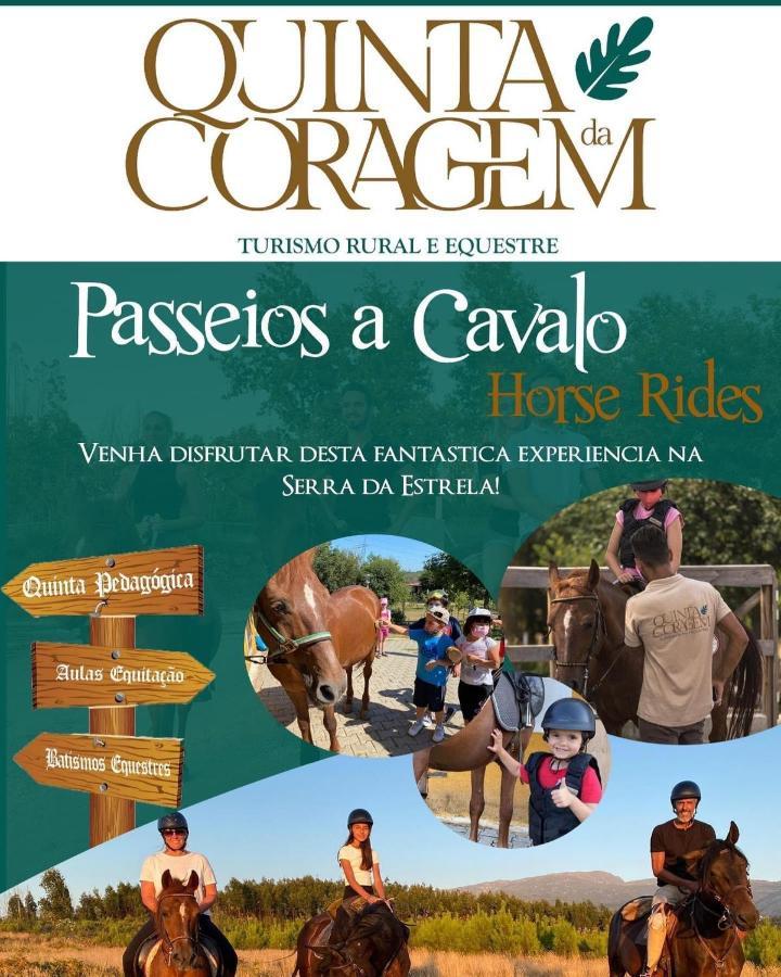 Ferienwohnung Casa D'Avo Coragem Seia Exterior foto